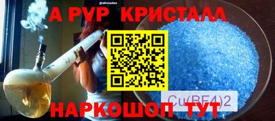 дмт Нальчик