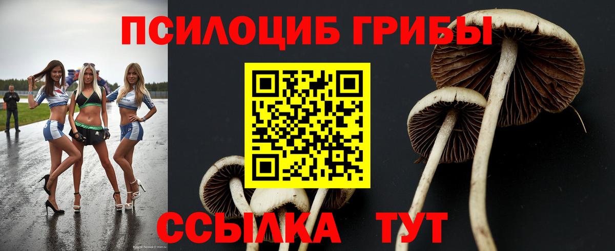 Саранск  Галлюциногенные грибы прущие грибы  Вход с VPN  Галлюциногенные грибы GOLDEN TEACHER 